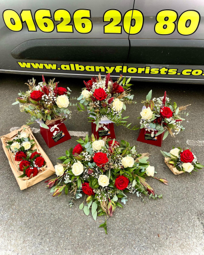 albanygallery