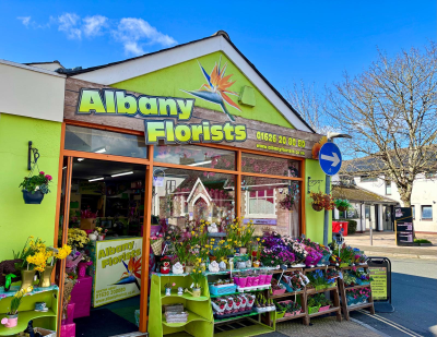 albanygallery