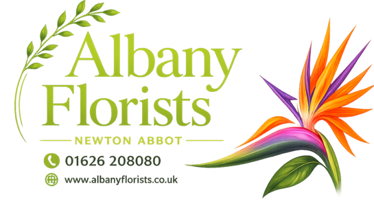 Albany florists in Newton Abbot Logo