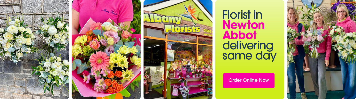 Seasonal bouquets from Albany florists in Newton Abbot offering same-day delivery